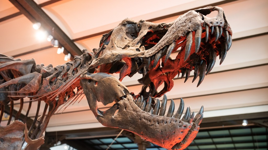 Por que alguns animais sobreviveram à extinção dos dinossauros