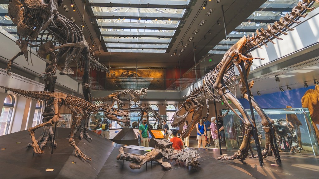 Onde as pessoas podem encontrar ossos de dinossauros